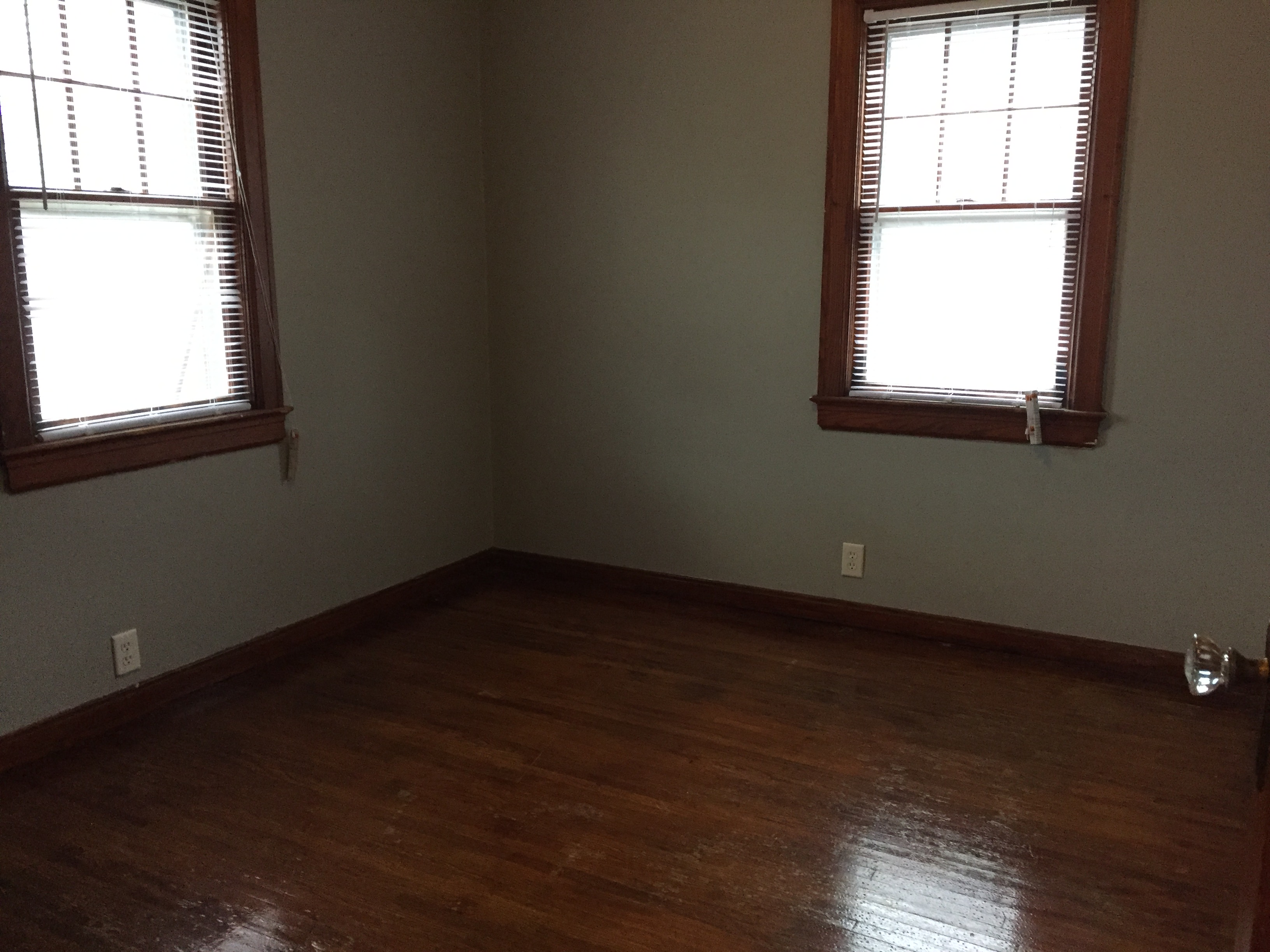 Waterloo House Real Estate 713 Dawson St SulenticFischels